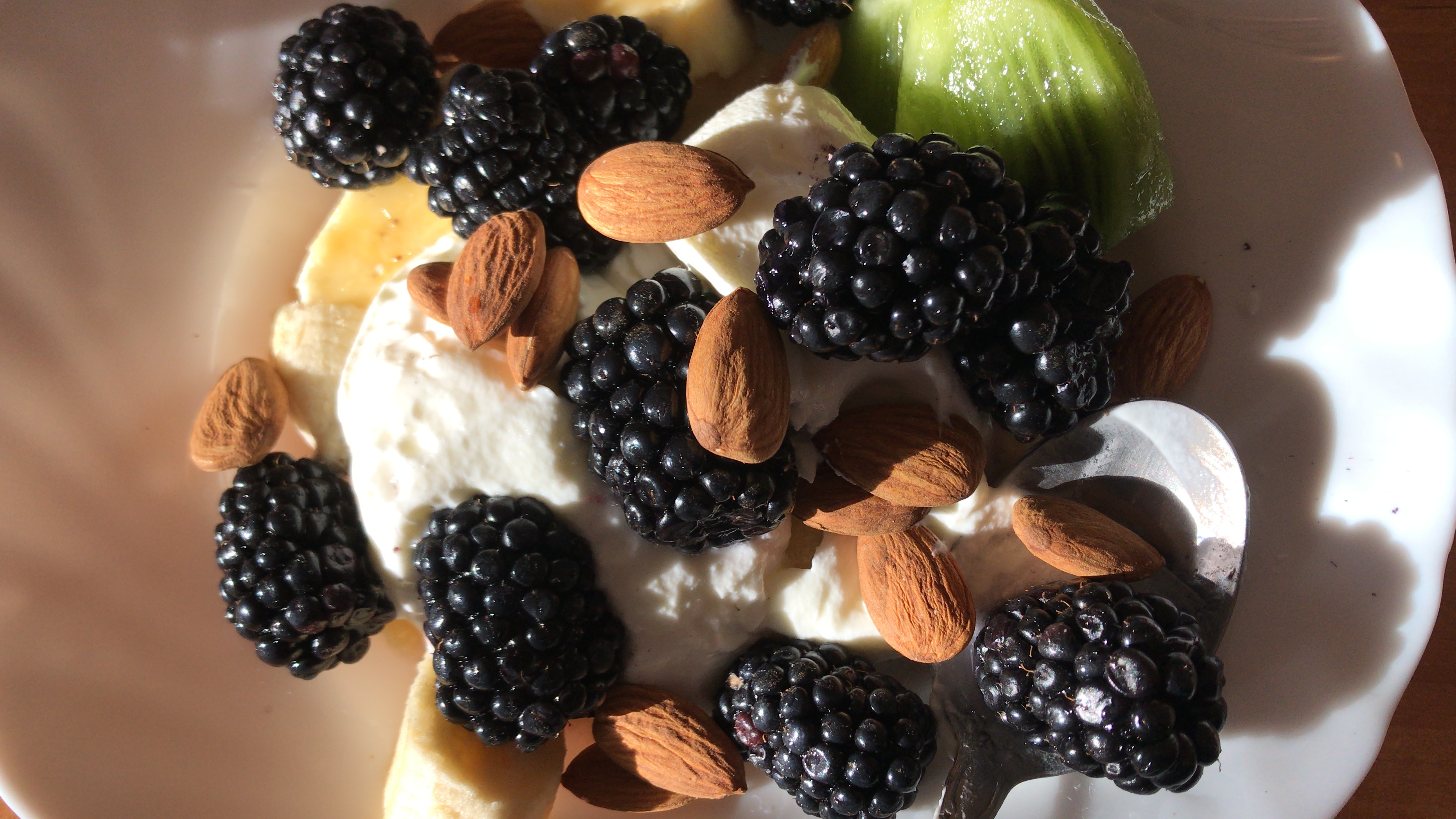 probiotics yogurt blog