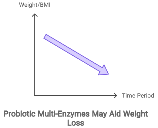 probiotic multi enzymes for weight loss